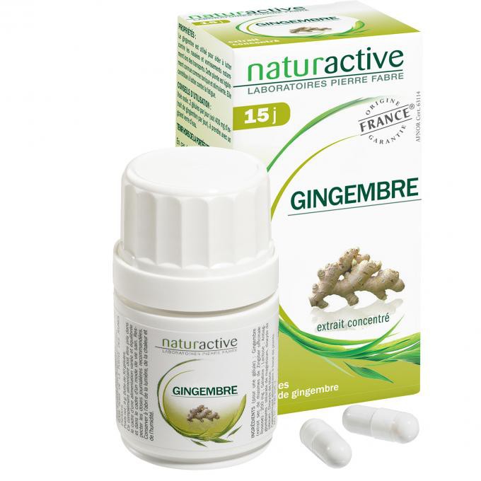 NATURACTIVE GINGEMBRE