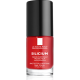 SILICIUM - VERNIS FORTIFIANT PROTECTEUR