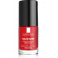 SILICIUM - VERNIS FORTIFIANT PROTECTEUR