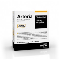 ARTERIA - CHOLESTEROL, LIPIDES SANGUINS