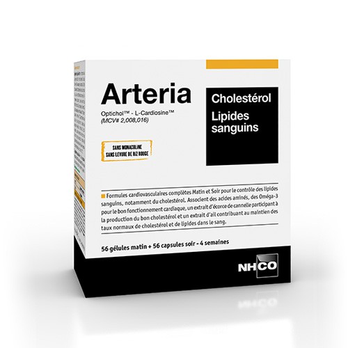 ARTERIA - CHOLESTEROL, LIPIDES SANGUINS