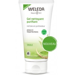 GEL PURIFIANT AU SAULE