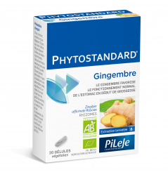 PHYTOSTANDARD GINGEMBRE BIO 