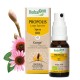 PROPOLIS LARGE SPECTRE SPRAY - BIO