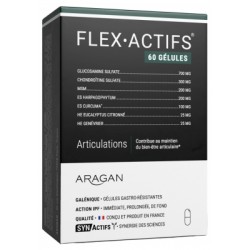 FLEXACTIFS - DOULEURS MUSCULAIRES ET ARTICULAIRES