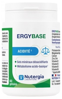 ERGYBASE