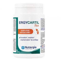 ERGYCARTIL FLEX