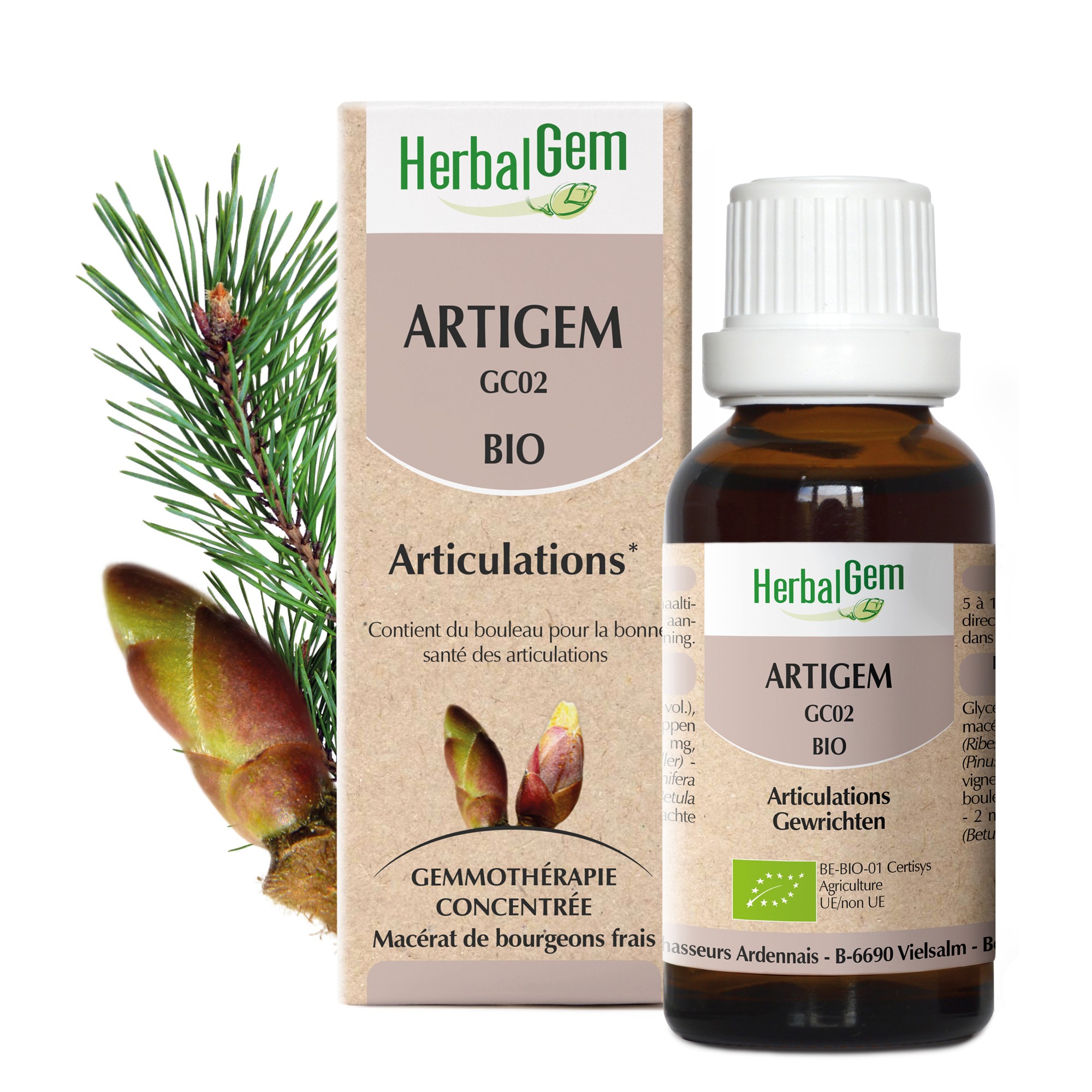 ARTIGEM BIO - ARTICULATIONS