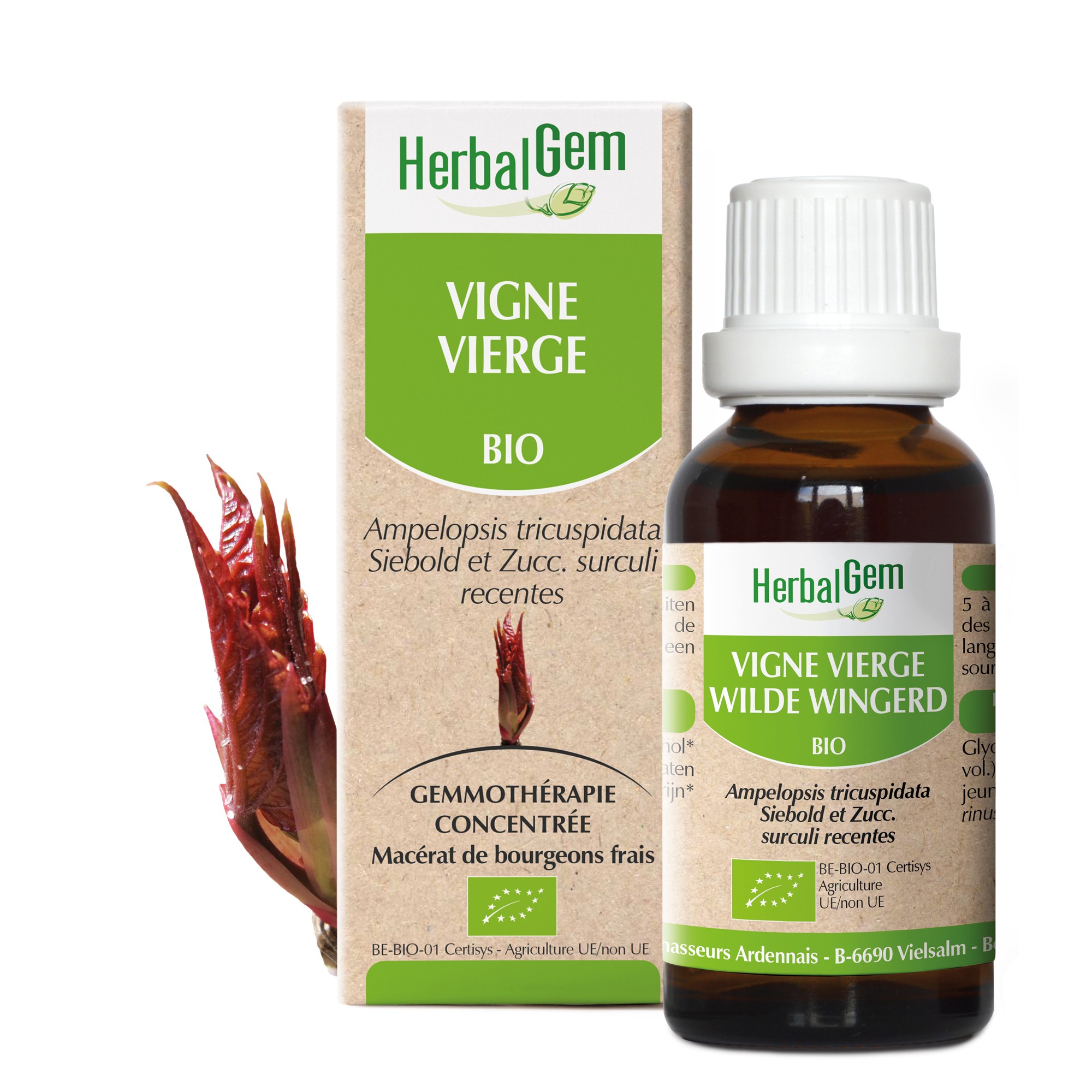 VIGNE VIERGE - BOURGEON MACÉRAT MÈRE BIO