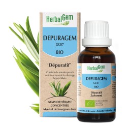 DEPURAGEM BIO - DÉPURATIF