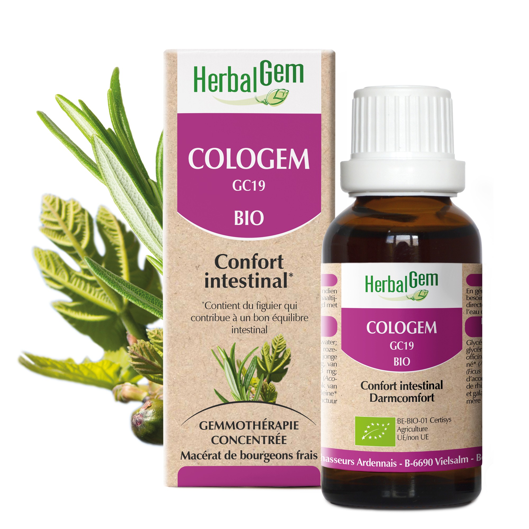 COLOGEM BIO - CONFORT INTESTINAL