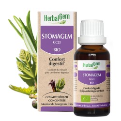 STOMAGEM BIO - CONFORT DIGESTIF, ESTOMAC