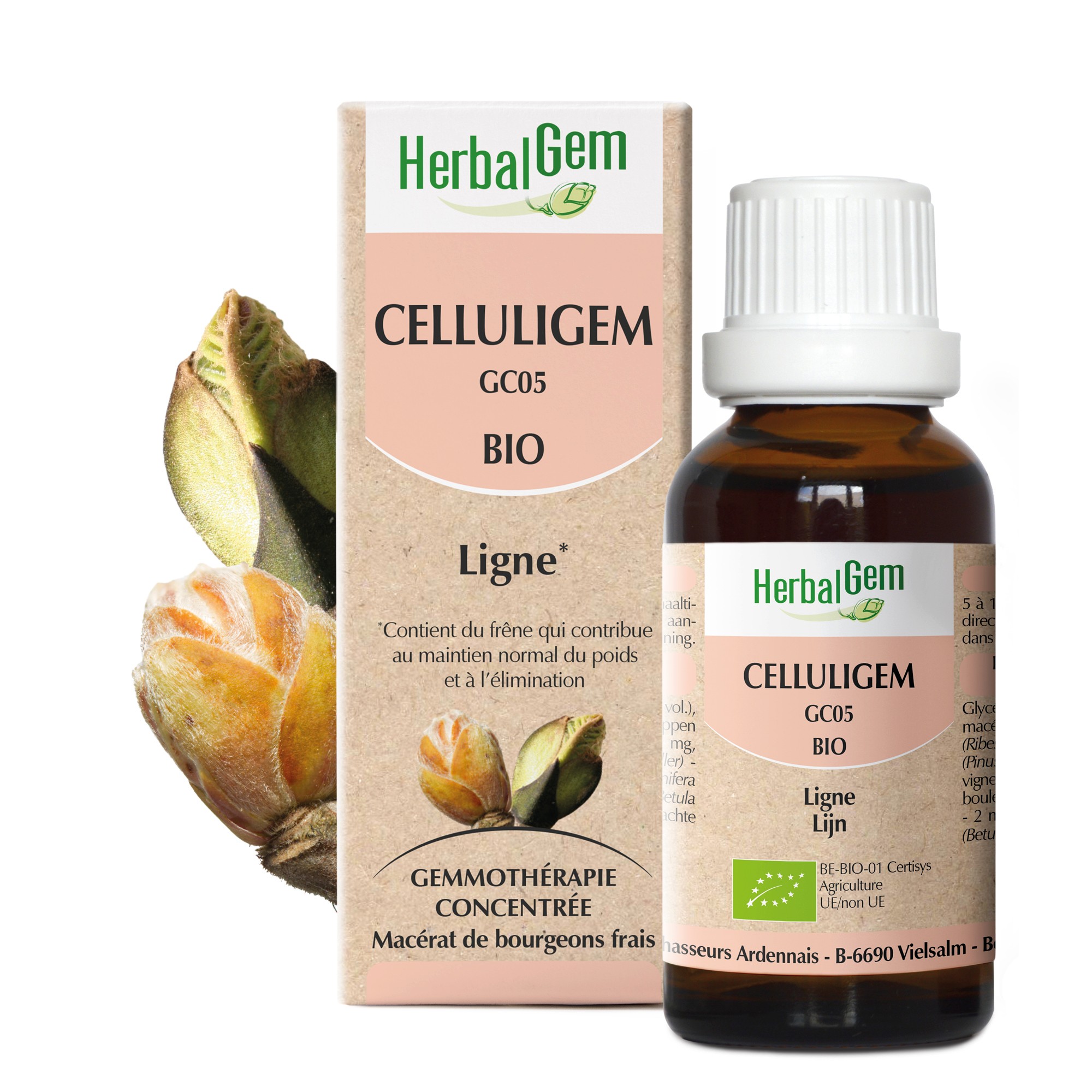 CELLULIGEM BIO - LIGNE, CELLULITE