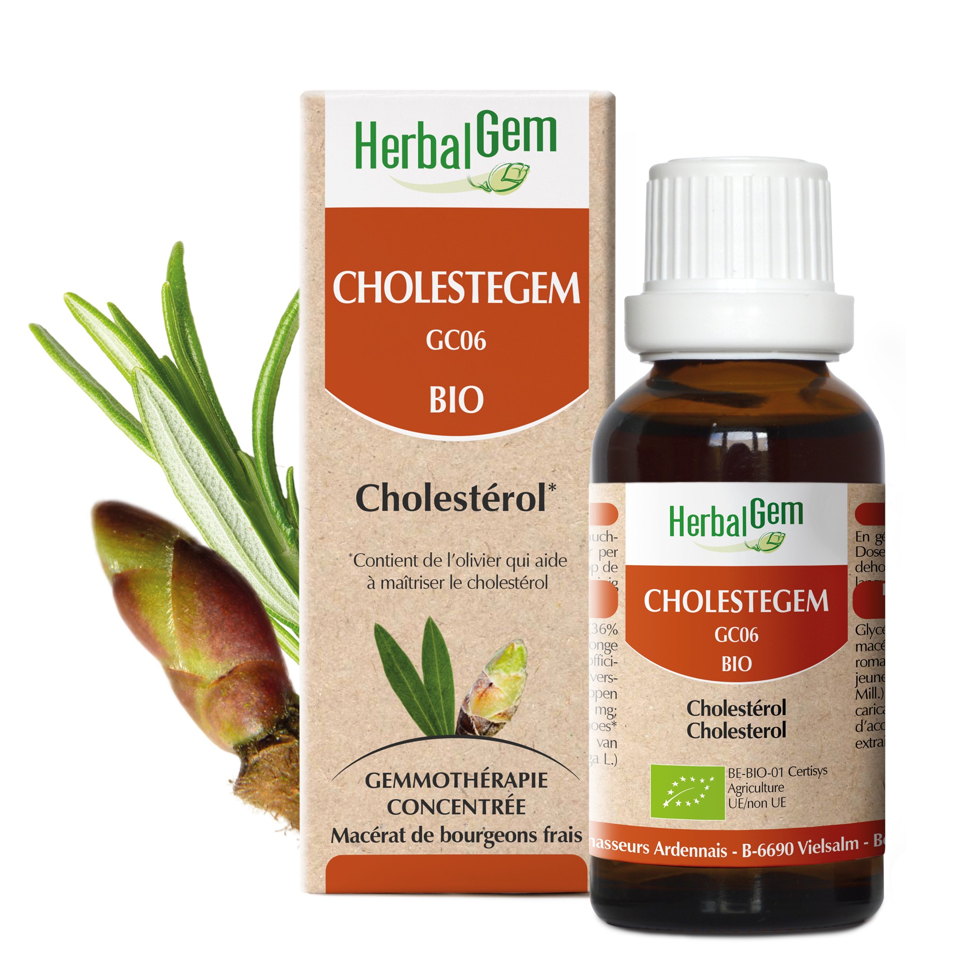 CHOLESTEGEM BIO - CHOLESTEROL