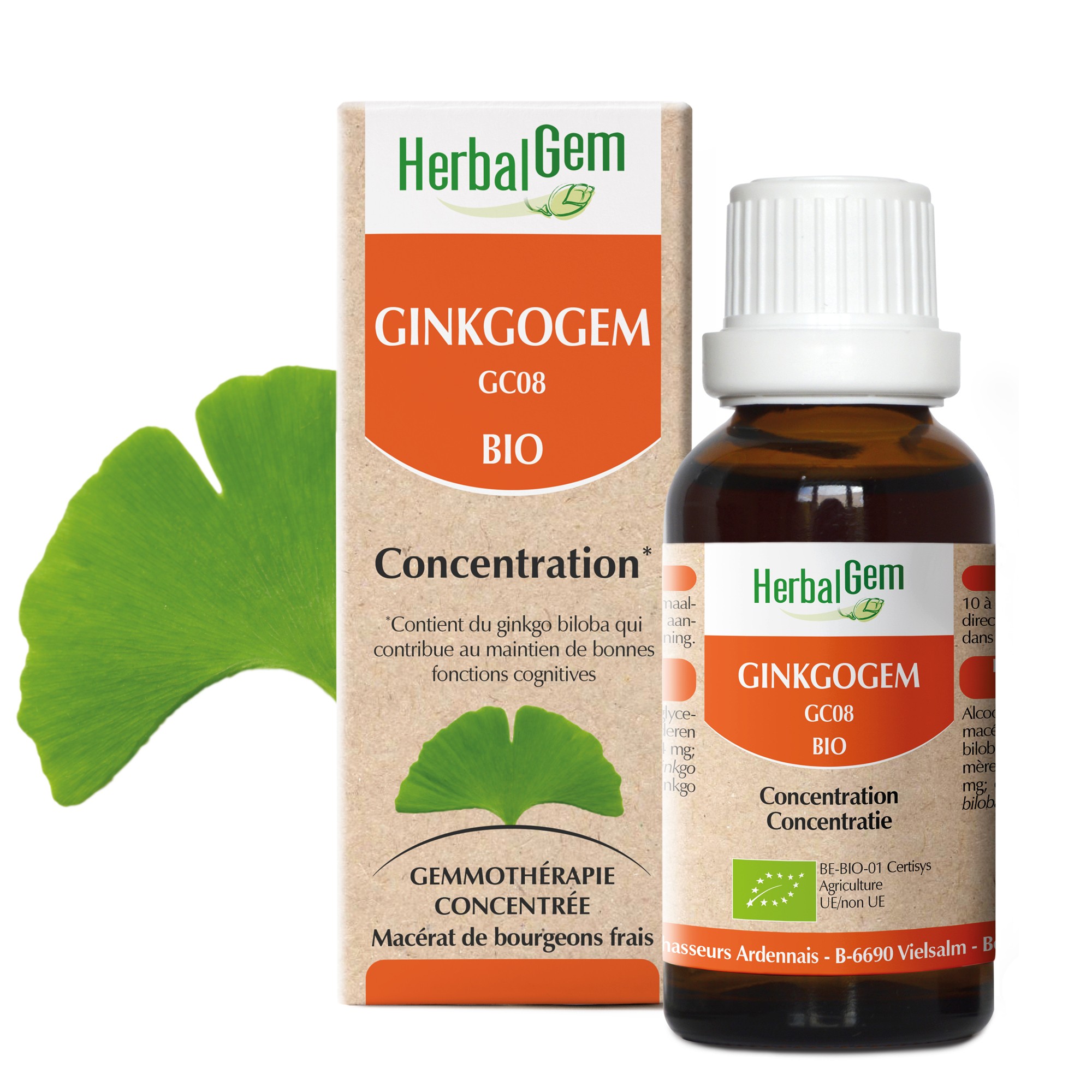 GINKGOGEM BIO - GINKGO BILOBA, CONCENTRATION