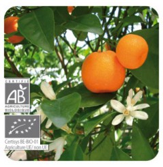 HUILE ESSENTIELLE DE MANDARINE BIO