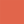 Corail indien